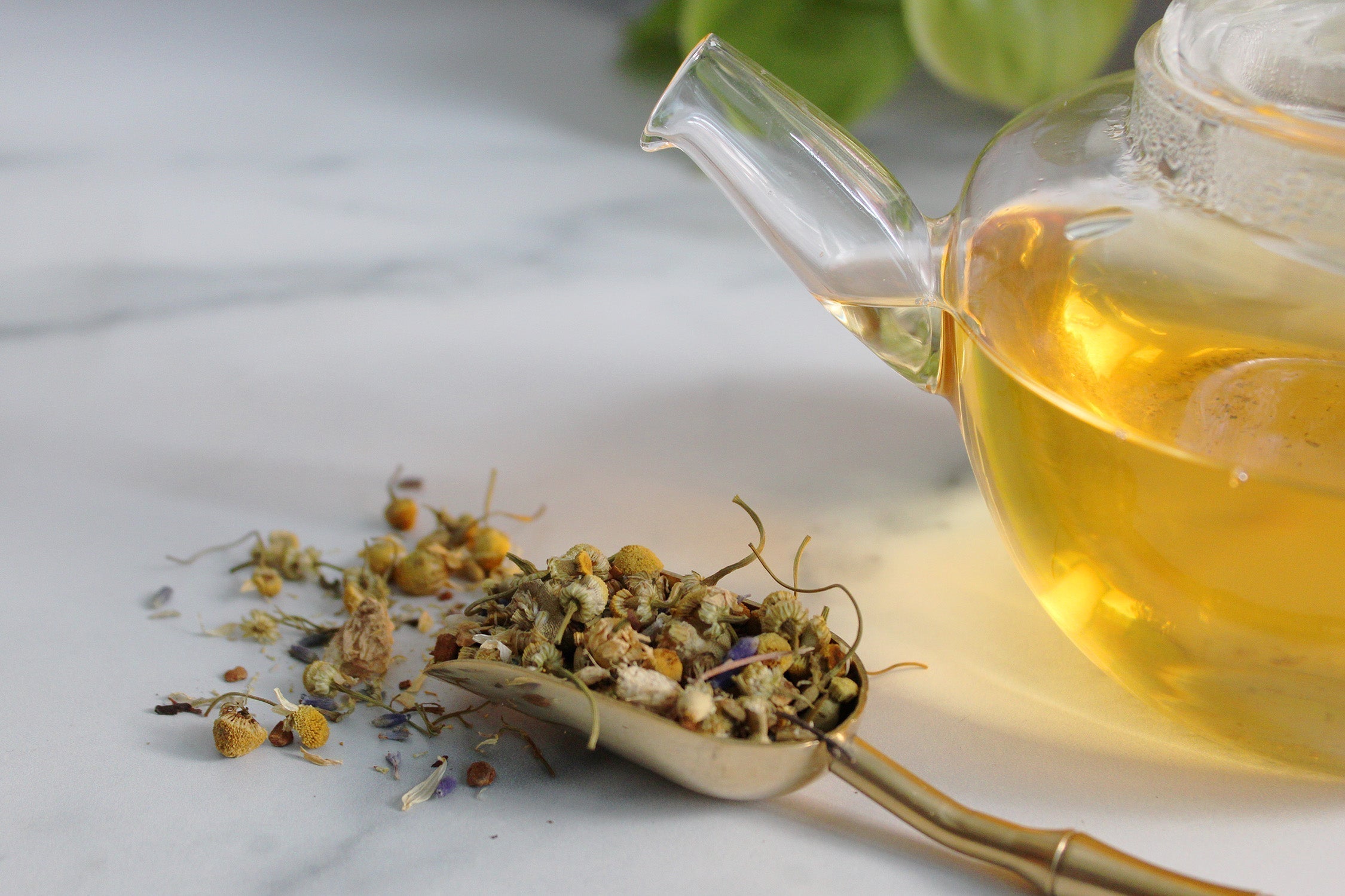 Tea Talk: All About Tisanes AKA Herbal Teas