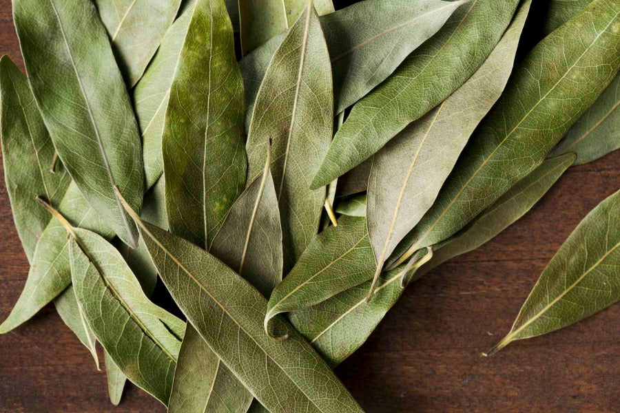 California Bay Leaf