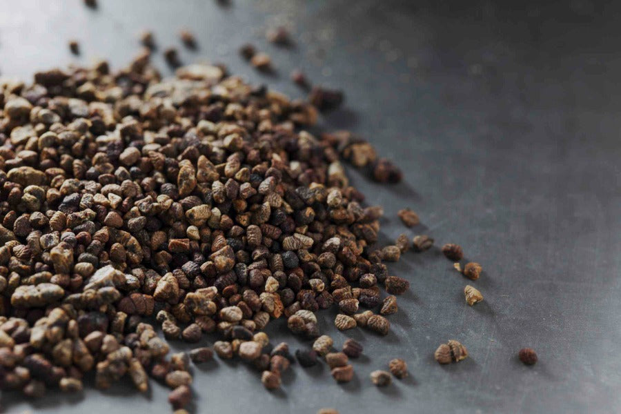 cardamom seeds for planting online Cardamom Seed Small / Ground