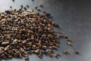 Cardamom Seed