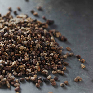 Cardamom Seed