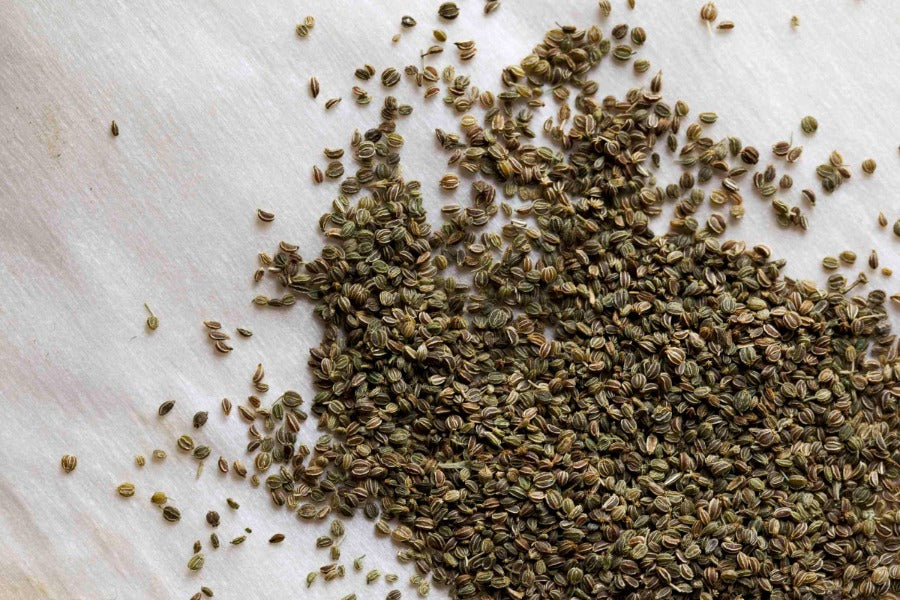 Celery Seed