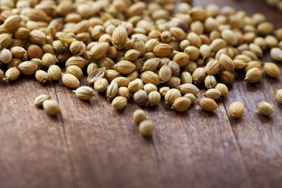 indian coriander seeds for planting Indian Coriander Seed Small