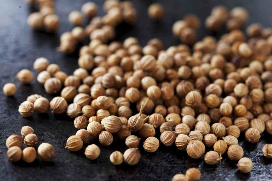 European Coriander Seed