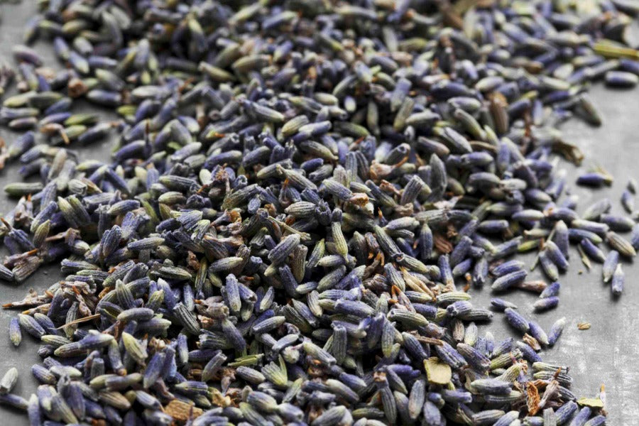 french lavender from seed French Lavender 1 lb. / Whole