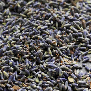 French Lavender