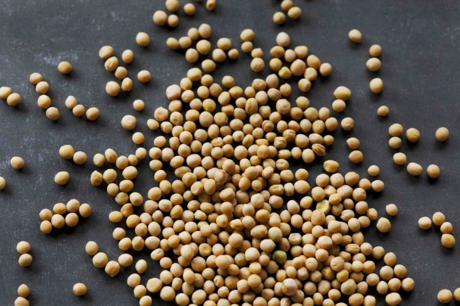 Yellow Mustard Seed