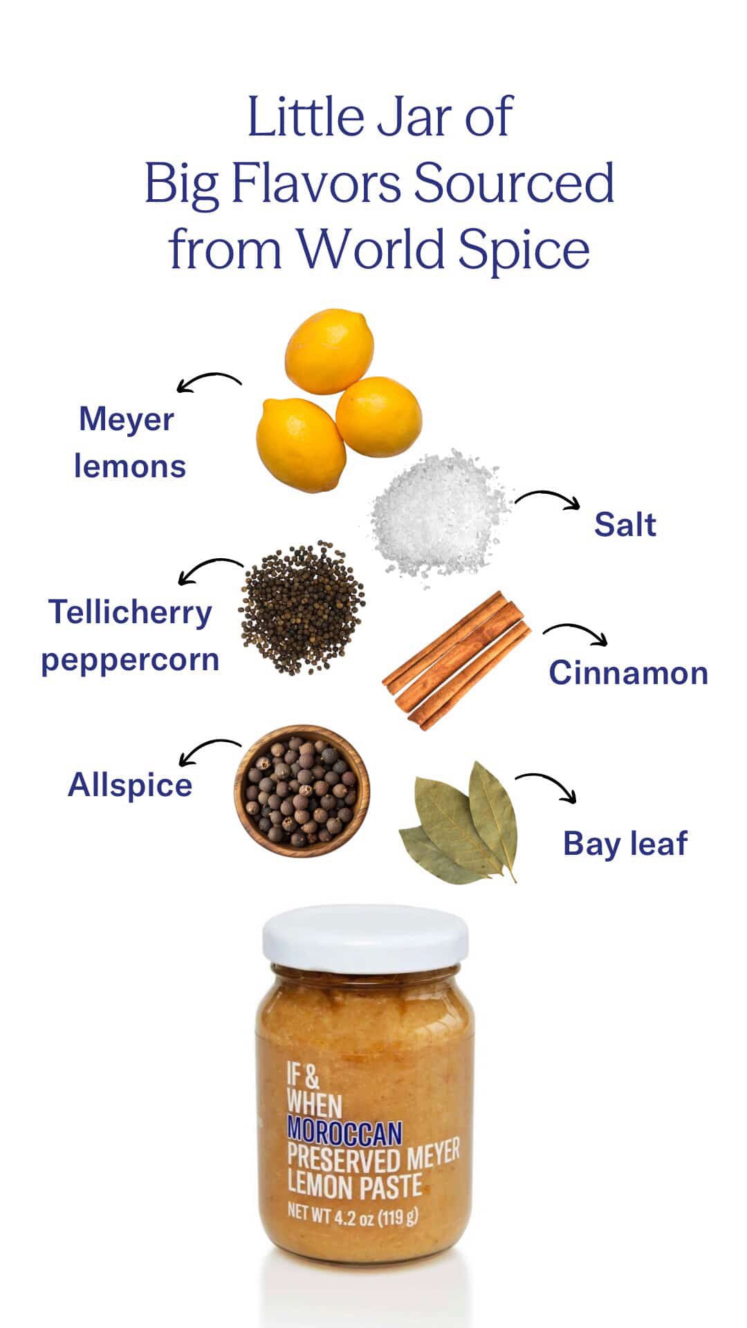 Preserved Lemon Paste - Moroccan