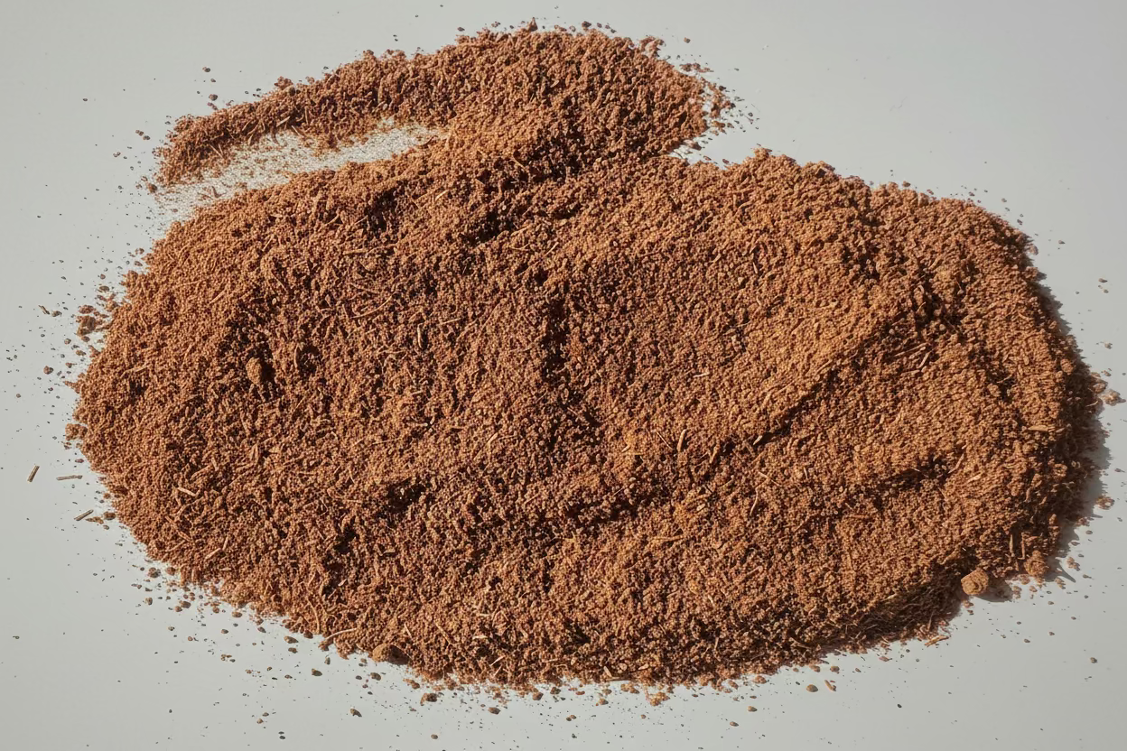 Galangal Powder