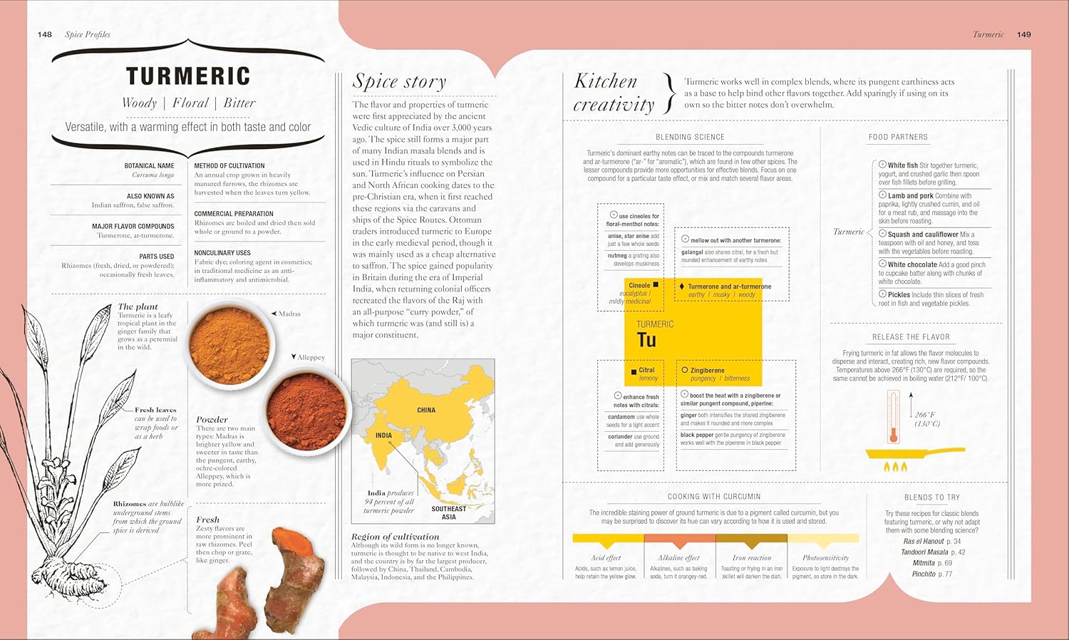 The Science of Spice