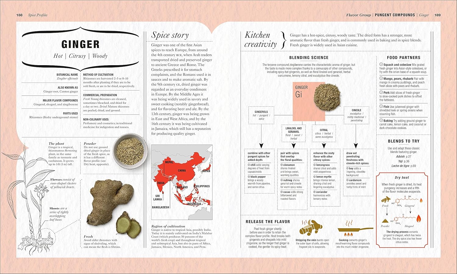 The Science of Spice