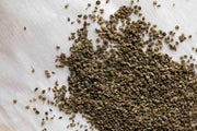 Celery Seed