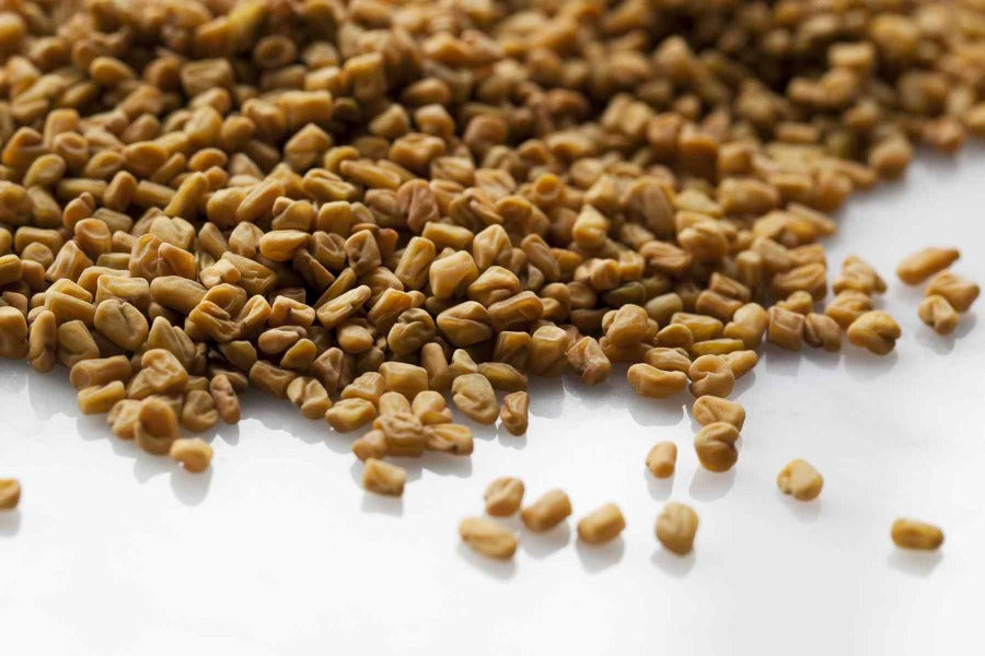 Fenugreek Seed