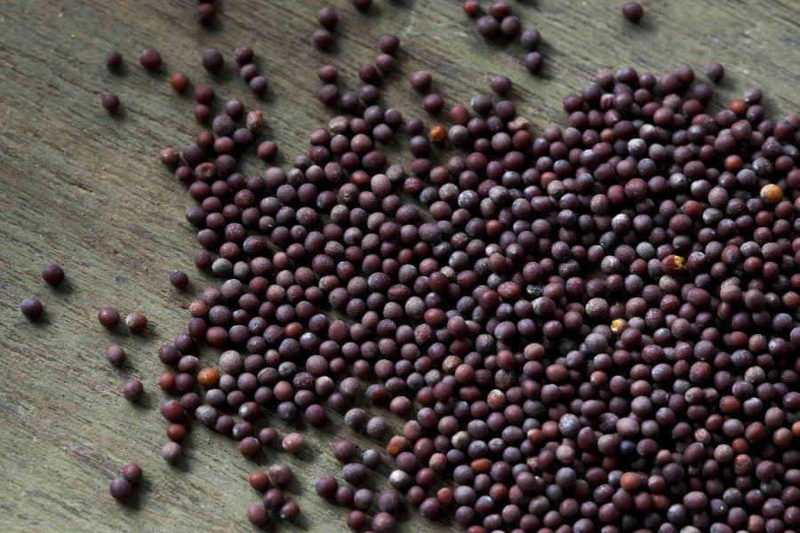 Organic Black Mustard Seeds - Gluten-Free, High-Quality Brown Mustard Seeds For Cooking
